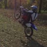 aspeck39