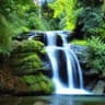 Tranquility