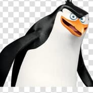 RIK