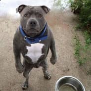 Where's my food