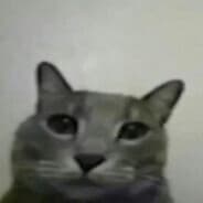 oblyg