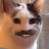 nxoN