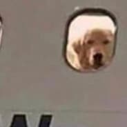 huh
