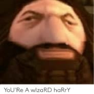 WizrdHarry(ง •̀_•́)ง