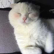 zhera