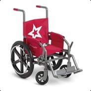 Disabled Wheelchair