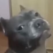 tm
