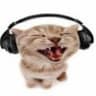 GarfieldGamer217