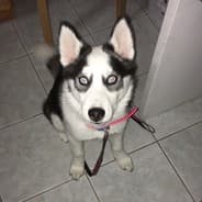 j.
