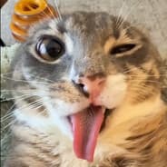 trykkir