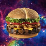 Not Your Ordinary Burger™