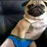 xxx