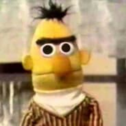 Bert