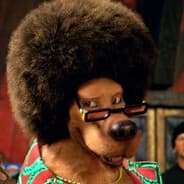 Provocateur ⇄ Trading Skins