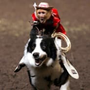 Ape Wrangler