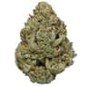 Vanilla Kush