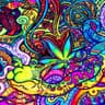 cgd