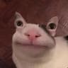 ree