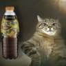 remsey ice tea