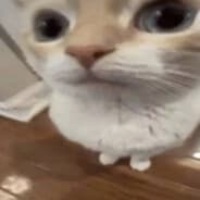Jonas