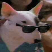 Spuds MacKenzie