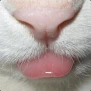 Wwwwww