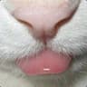 Wwwwww