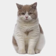 qwemode