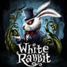 White Rabbit42