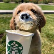 huper