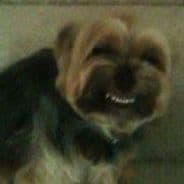 Bin (изучаю русский)