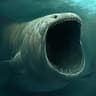 loan-shark