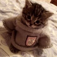nya~rlathotep