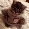 nya~rlathotep
