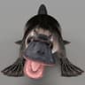 poher.face
