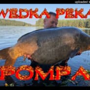 GeroleK