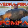 GeroleK