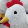 icken
