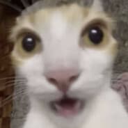 tom