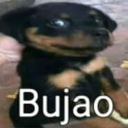 vini