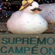 SUPREMO CAMPÉON