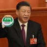 Xi ZYNping