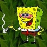 Sp0ngbob