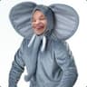 ElephantTheMessiah