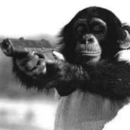 Le Monkey