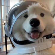 Astro