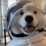 Astro