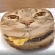 KittyCheeseBurger27