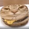 KittyCheeseBurger27