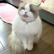 weixq0